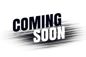 Sneakerz Lab Shoe Trees